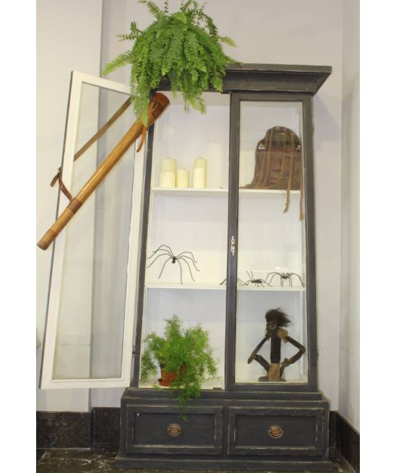 Vitrina vertical 1